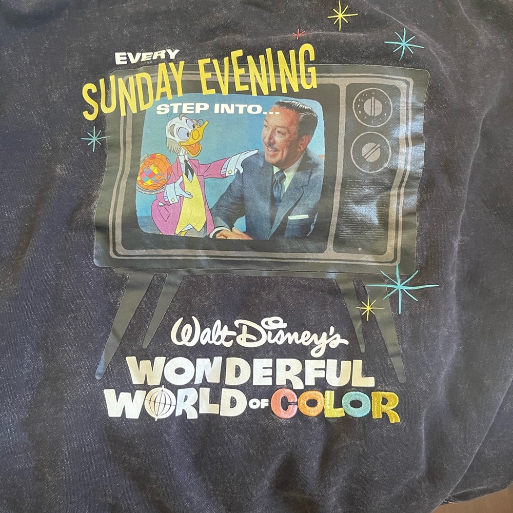 Walt Disney World of Color Hoodie